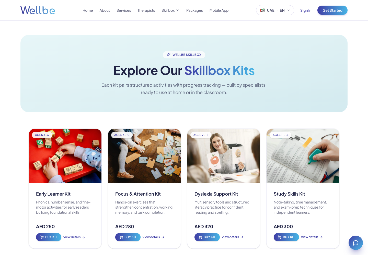 Wellbe Skillbox remedial education kit catalogue